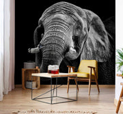 Photo Wallpaper The Elephant