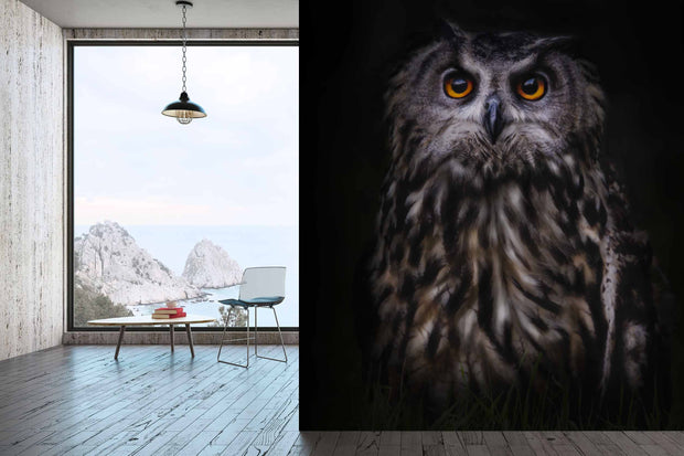 Photo Wallpaper The Owl