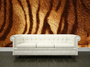 Tiger texture Wall Mural-Animals & Wildlife,Textures-Eazywallz