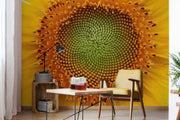 Shining Sunflower Wallpaper Mural