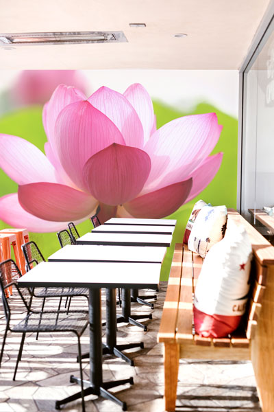 Translucent Pink Petals Wall Mural-Florals,Featured Category of the Month-Eazywallz
