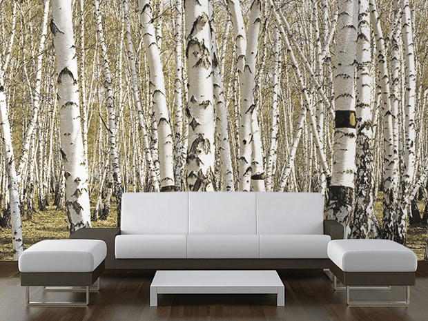 Tree Birch in Spring Wall Mural-Landscapes & Nature-Eazywallz