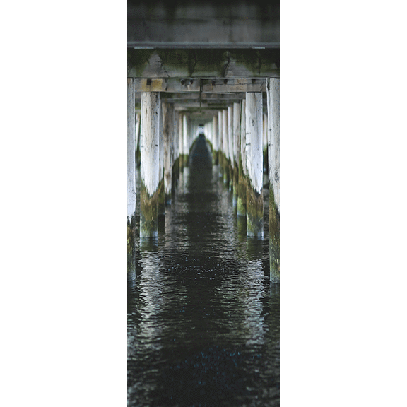 Under the Pier Door Mural-Landscapes & Nature-Eazywallz