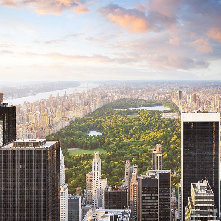 View of Central Park Wall Mural-Buildings & Landmarks,Cityscapes,Featured Category-Eazywallz