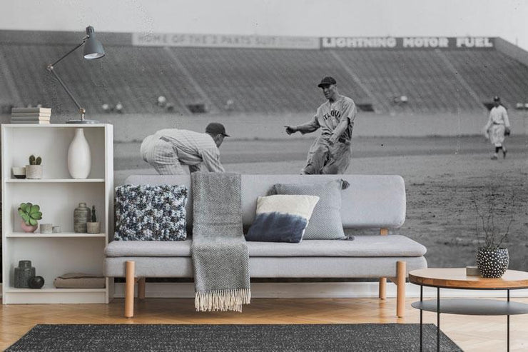 Vintage Baseball Slide Mural Wallpaper-Sports-Eazywallz