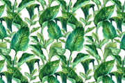 Exotic Leaves in Watercolour Wallpaper Mural