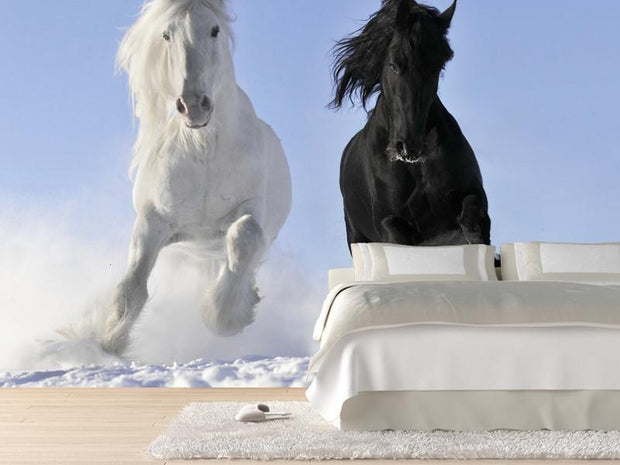 White and black horses Wall Mural-Animals & Wildlife-Eazywallz