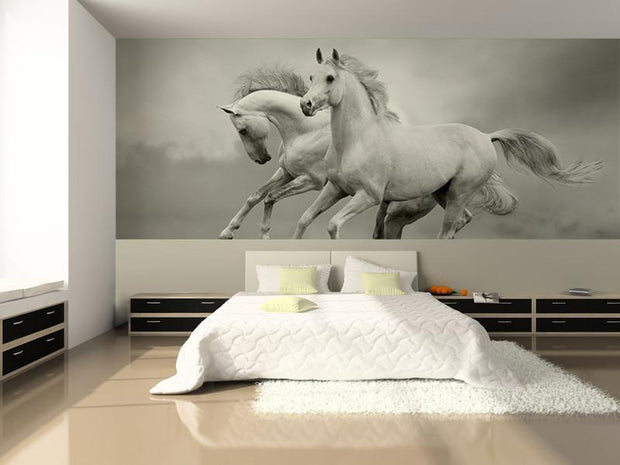 White Horses in the Summer Wall Mural-Animals & Wildlife,Black & White-Eazywallz