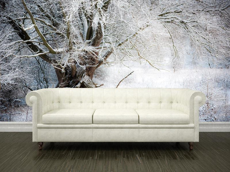 Willow tree in winter Wall Mural-Landscapes & Nature-Eazywallz