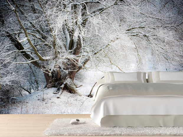 Willow tree in winter Wall Mural-Landscapes & Nature-Eazywallz