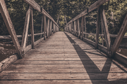 Wooden Bridge in Forest Wall Mural-Zen,Landscapes & Nature-Eazywallz