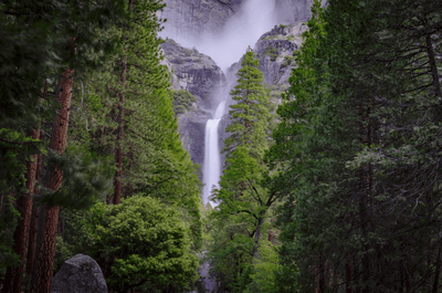 Yosemite Valley Wall Mural-Landscapes & Nature-Eazywallz