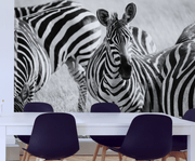 Zebras in Tanzania Wall Mural-Animals & Wildlife,Black & White,Textures,Staff Favourite Murals-Eazywallz