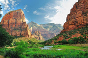 Zion Canyon Wall Mural-Landscapes & Nature-Eazywallz